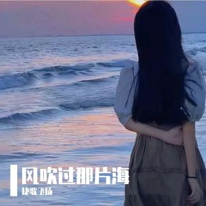 风吹过那片海