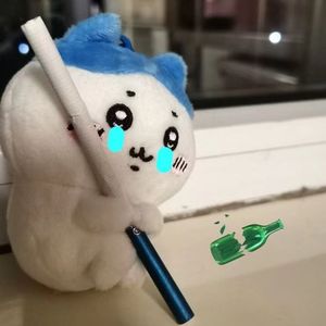 阿拉斯加海湾