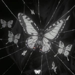 Шелкопряд (Intro)