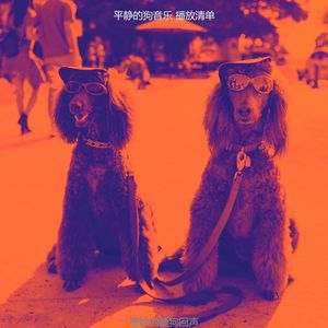 一尘不染小狗印象数