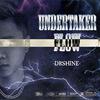 DrShine - Undertaker Flow