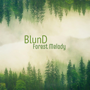 Forest Melody