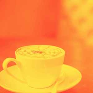 温和秋天的共鸣梦想