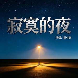 寂寞的夜