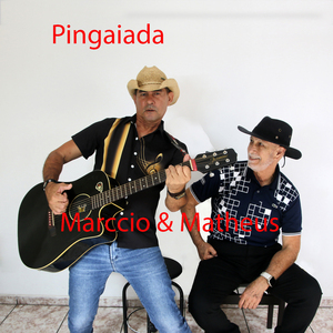 Pingaiada