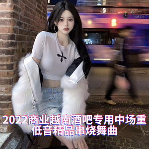 DJ国飞-2022商业越南酒吧专用中场重低音精品串烧舞曲（DJ国飞 remix）