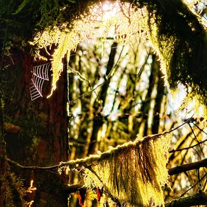 Atravesar ("Moving Through" Rework)