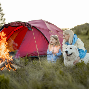 Fireside Melodies Encourage Pets' Lighthearted Frolic