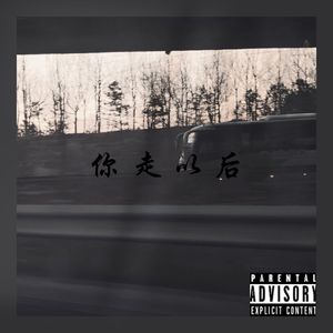 你走以后