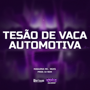 Tesão de Vaca Automotiva