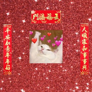 新年快乐(✪▽✪)