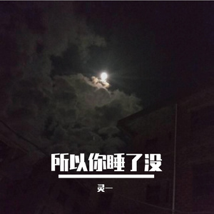 灵一 - 所以你睡了没