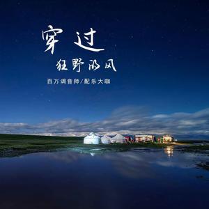 穿过狂野的风 (马头琴)