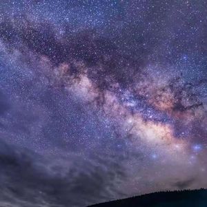 忘记你的南找到我的北（女版）