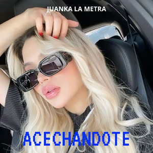 Acechandote