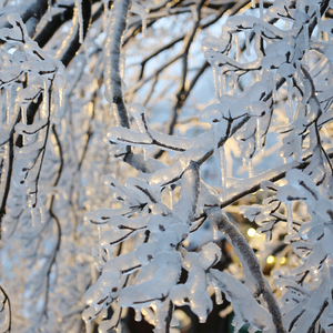 你要如何，我们就如何