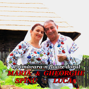 La Stejarul Din Vâlcea