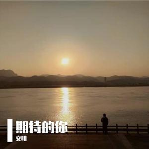 期待的你（demo）