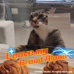 Desert Winds and Algebraist