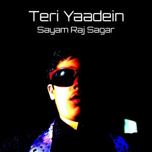 Teri Yaadein