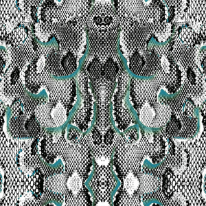 你有freestyle吗 II (diss中国有嘻哈)