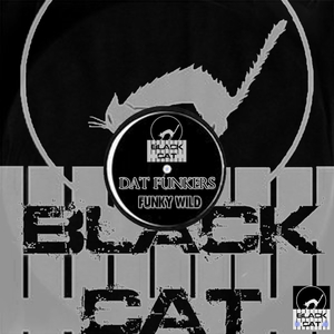 Funky Wild (Original Mix)
