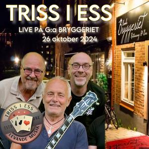 SORGLÖSA DAGAR (SÅNGEN TILL ELIN) (Live)