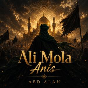 Ali Mola Anis