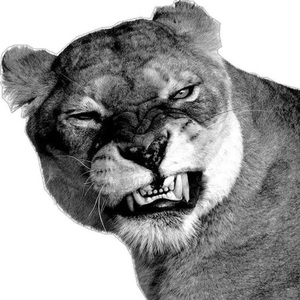 Tak Tak Tak X Just A Lil Bit