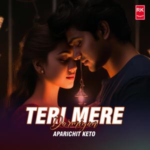 Teri Mere Darmiyan