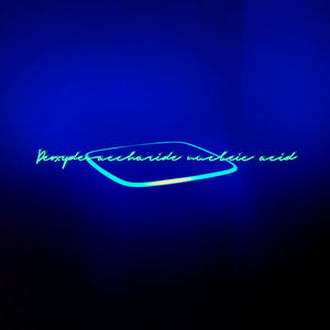 脱氧脱糖核酸PrOD MEGA