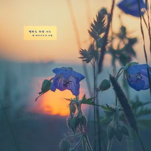 평화를 위한 기도