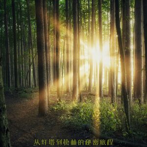 草地上的小小叛逆