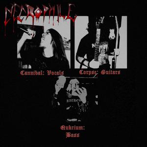 Decapitate To Immolate