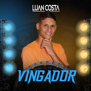 Vingador