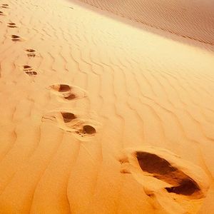 多想在平庸的生活拥抱你