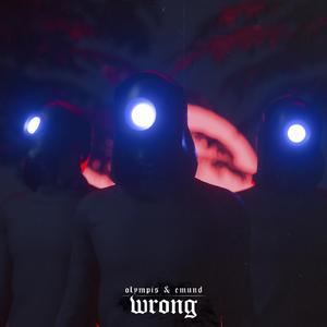 Wrong (feat. Ludwiig, Hallasen)