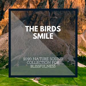 Colorful Woodland Journey