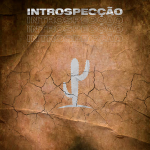 Introspecção