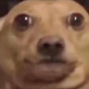 我在深夜十二点哭的像条狗