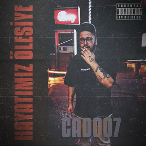 Hayatımız Ölesiye