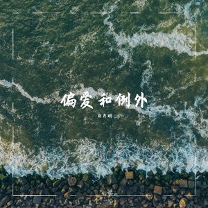 偏爱和例外