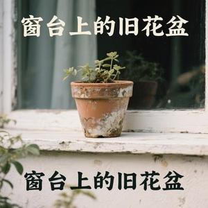 窗台上的旧花盆