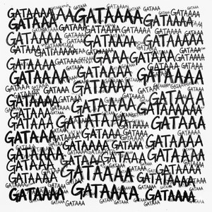 Gataaa (Remasterizado)