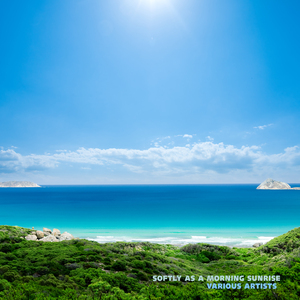 The Cedars of Lebanon