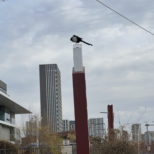 我路过你的花期 你错过我的四季