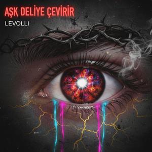 Aşk Deliye Çevirir