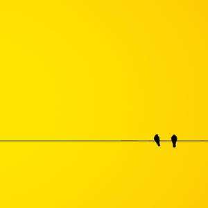 Ozone Yellow Remix (노란색)