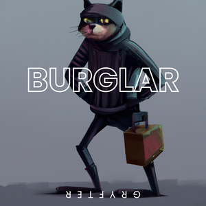 Burglar