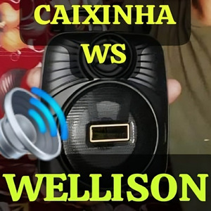 Caixinha WS Wellison